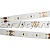 Лента MICROLED-5000HP 24V Day4000 8mm (2216, 120 LED/m, LUX) 024429 Arlight